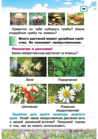 Природоведение: учебник для 1-го класса (русский язык обучения), Автор: И.В. Грущинская Видавництво: Київ, Освіта, 2012 рік