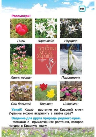 Природоведение: учебник для 1-го класса (русский язык обучения), Автор: И.В. Грущинская Видавництво: Київ, Освіта, 2012 рік