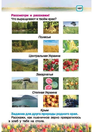 Природоведение: учебник для 1-го класса (русский язык обучения), Автор: И.В. Грущинская Видавництво: Київ, Освіта, 2012 рік
