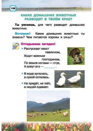 Природоведение: учебник для 1-го класса (русский язык обучения), Автор: И.В. Грущинская Видавництво: Київ, Освіта, 2012 рік