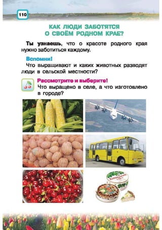 Природоведение: учебник для 1-го класса (русский язык обучения), Автор: И.В. Грущинская Видавництво: Київ, Освіта, 2012 рік