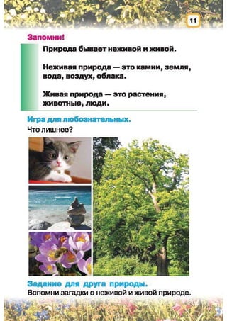 Природоведение: учебник для 1-го класса (русский язык обучения), Автор: И.В. Грущинская Видавництво: Київ, Освіта, 2012 рік