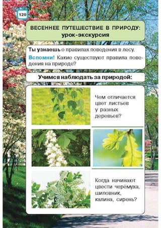 Природоведение: учебник для 1-го класса (русский язык обучения), Автор: И.В. Грущинская Видавництво: Київ, Освіта, 2012 рік