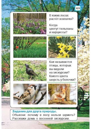 Природоведение: учебник для 1-го класса (русский язык обучения), Автор: И.В. Грущинская Видавництво: Київ, Освіта, 2012 рік