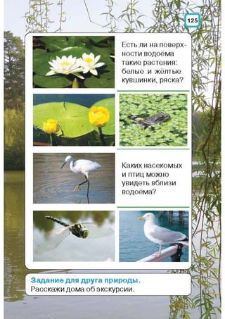 Природоведение: учебник для 1-го класса (русский язык обучения), Автор: И.В. Грущинская Видавництво: Київ, Освіта, 2012 рік