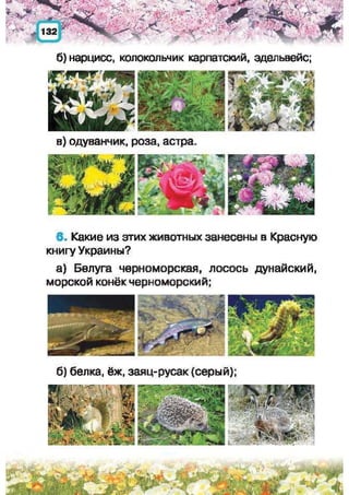 Природоведение: учебник для 1-го класса (русский язык обучения), Автор: И.В. Грущинская Видавництво: Київ, Освіта, 2012 рік