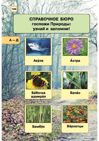 Природоведение: учебник для 1-го класса (русский язык обучения), Автор: И.В. Грущинская Видавництво: Київ, Освіта, 2012 рік