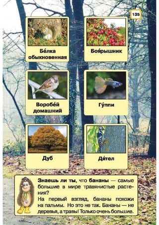 Природоведение: учебник для 1-го класса (русский язык обучения), Автор: И.В. Грущинская Видавництво: Київ, Освіта, 2012 рік