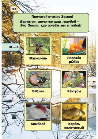 Природоведение: учебник для 1-го класса (русский язык обучения), Автор: И.В. Грущинская Видавництво: Київ, Освіта, 2012 рік