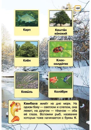 Природоведение: учебник для 1-го класса (русский язык обучения), Автор: И.В. Грущинская Видавництво: Київ, Освіта, 2012 рік