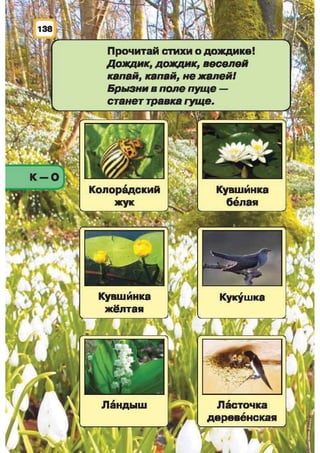 Природоведение: учебник для 1-го класса (русский язык обучения), Автор: И.В. Грущинская Видавництво: Київ, Освіта, 2012 рік