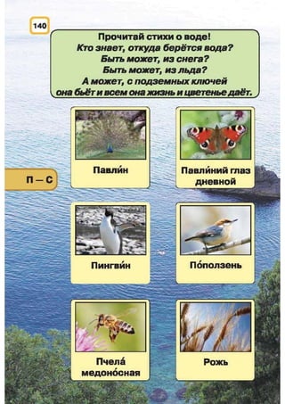 Природоведение: учебник для 1-го класса (русский язык обучения), Автор: И.В. Грущинская Видавництво: Київ, Освіта, 2012 рік