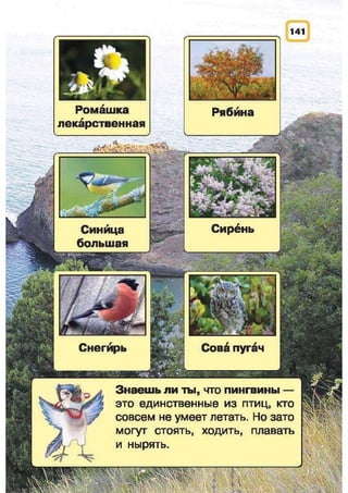 Природоведение: учебник для 1-го класса (русский язык обучения), Автор: И.В. Грущинская Видавництво: Київ, Освіта, 2012 рік