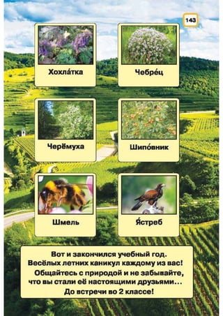 Природоведение: учебник для 1-го класса (русский язык обучения), Автор: И.В. Грущинская Видавництво: Київ, Освіта, 2012 рік