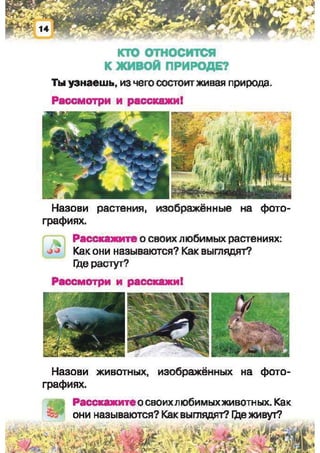 Природоведение: учебник для 1-го класса (русский язык обучения), Автор: И.В. Грущинская Видавництво: Київ, Освіта, 2012 рік