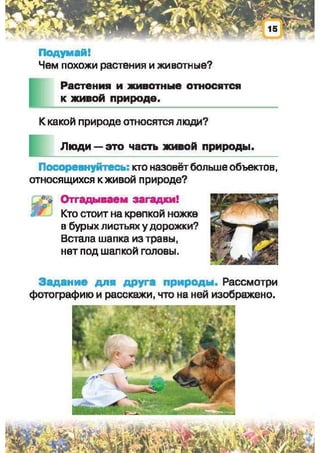 Природоведение: учебник для 1-го класса (русский язык обучения), Автор: И.В. Грущинская Видавництво: Київ, Освіта, 2012 рік