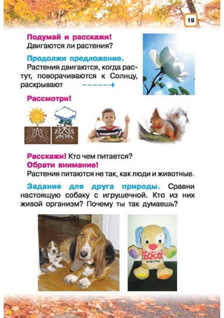 Природоведение: учебник для 1-го класса (русский язык обучения), Автор: И.В. Грущинская Видавництво: Київ, Освіта, 2012 рік