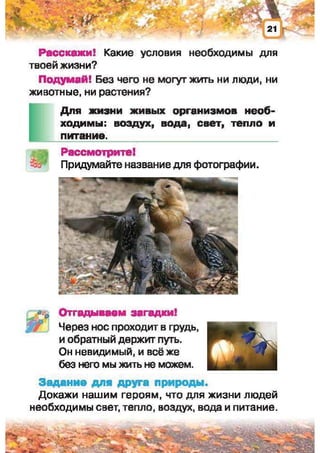 Природоведение: учебник для 1-го класса (русский язык обучения), Автор: И.В. Грущинская Видавництво: Київ, Освіта, 2012 рік