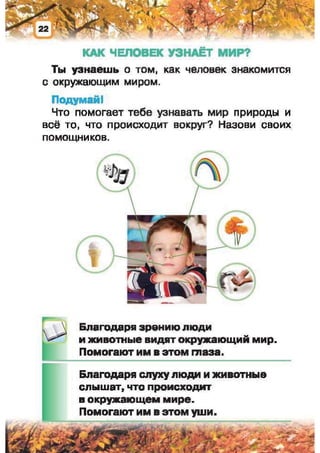 Природоведение: учебник для 1-го класса (русский язык обучения), Автор: И.В. Грущинская Видавництво: Київ, Освіта, 2012 рік