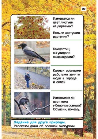 Природоведение: учебник для 1-го класса (русский язык обучения), Автор: И.В. Грущинская Видавництво: Київ, Освіта, 2012 рік