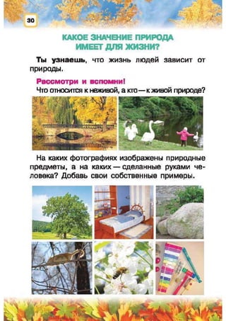 Природоведение: учебник для 1-го класса (русский язык обучения), Автор: И.В. Грущинская Видавництво: Київ, Освіта, 2012 рік