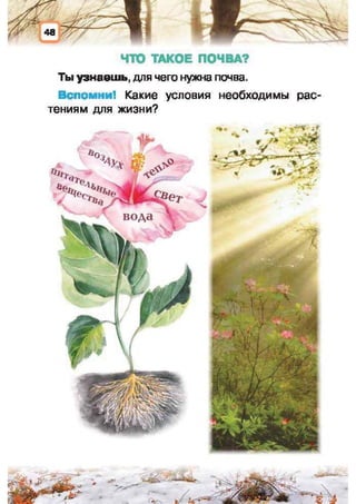 Природоведение: учебник для 1-го класса (русский язык обучения), Автор: И.В. Грущинская Видавництво: Київ, Освіта, 2012 рік