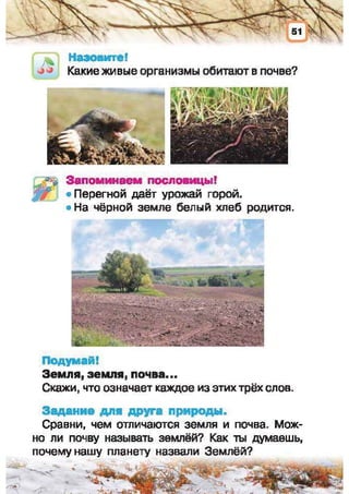 Природоведение: учебник для 1-го класса (русский язык обучения), Автор: И.В. Грущинская Видавництво: Київ, Освіта, 2012 рік