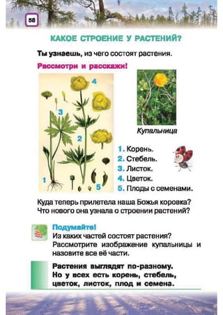 Природоведение: учебник для 1-го класса (русский язык обучения), Автор: И.В. Грущинская Видавництво: Київ, Освіта, 2012 рік