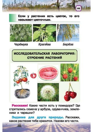 Природоведение: учебник для 1-го класса (русский язык обучения), Автор: И.В. Грущинская Видавництво: Київ, Освіта, 2012 рік