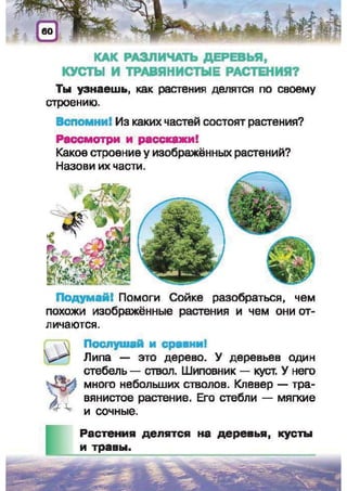 Природоведение: учебник для 1-го класса (русский язык обучения), Автор: И.В. Грущинская Видавництво: Київ, Освіта, 2012 рік