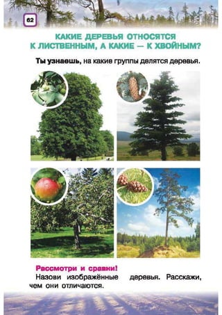 Природоведение: учебник для 1-го класса (русский язык обучения), Автор: И.В. Грущинская Видавництво: Київ, Освіта, 2012 рік