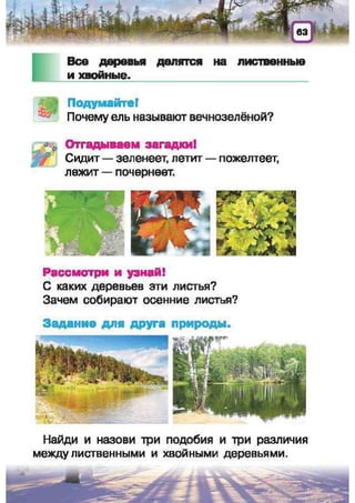 Природоведение: учебник для 1-го класса (русский язык обучения), Автор: И.В. Грущинская Видавництво: Київ, Освіта, 2012 рік