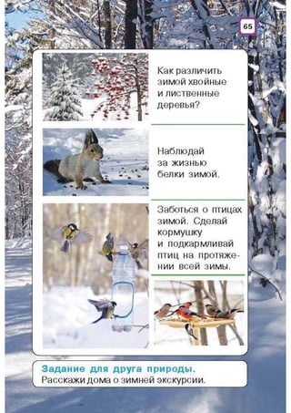 Природоведение: учебник для 1-го класса (русский язык обучения), Автор: И.В. Грущинская Видавництво: Київ, Освіта, 2012 рік
