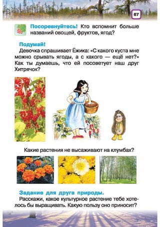 Природоведение: учебник для 1-го класса (русский язык обучения), Автор: И.В. Грущинская Видавництво: Київ, Освіта, 2012 рік