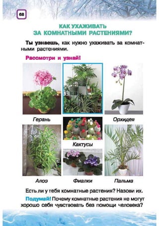 Природоведение: учебник для 1-го класса (русский язык обучения), Автор: И.В. Грущинская Видавництво: Київ, Освіта, 2012 рік