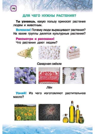 Природоведение: учебник для 1-го класса (русский язык обучения), Автор: И.В. Грущинская Видавництво: Київ, Освіта, 2012 рік