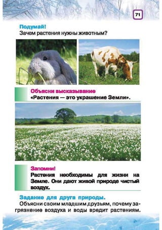 Природоведение: учебник для 1-го класса (русский язык обучения), Автор: И.В. Грущинская Видавництво: Київ, Освіта, 2012 рік