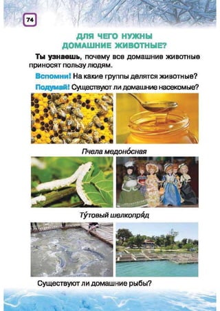 Природоведение: учебник для 1-го класса (русский язык обучения), Автор: И.В. Грущинская Видавництво: Київ, Освіта, 2012 рік