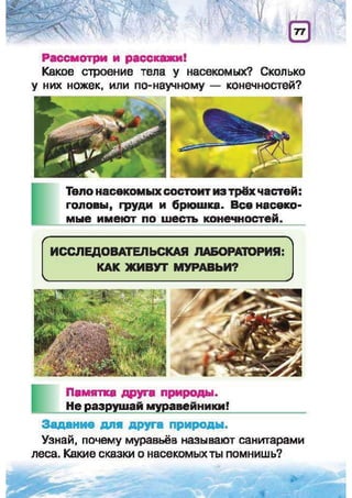 Природоведение: учебник для 1-го класса (русский язык обучения), Автор: И.В. Грущинская Видавництво: Київ, Освіта, 2012 рік