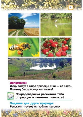 Природоведение: учебник для 1-го класса (русский язык обучения), Автор: И.В. Грущинская Видавництво: Київ, Освіта, 2012 рік