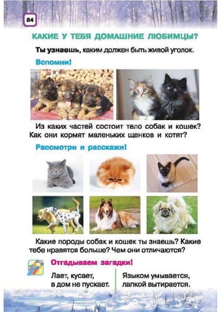Природоведение: учебник для 1-го класса (русский язык обучения), Автор: И.В. Грущинская Видавництво: Київ, Освіта, 2012 рік