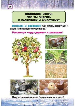 Природоведение: учебник для 1-го класса (русский язык обучения), Автор: И.В. Грущинская Видавництво: Київ, Освіта, 2012 рік