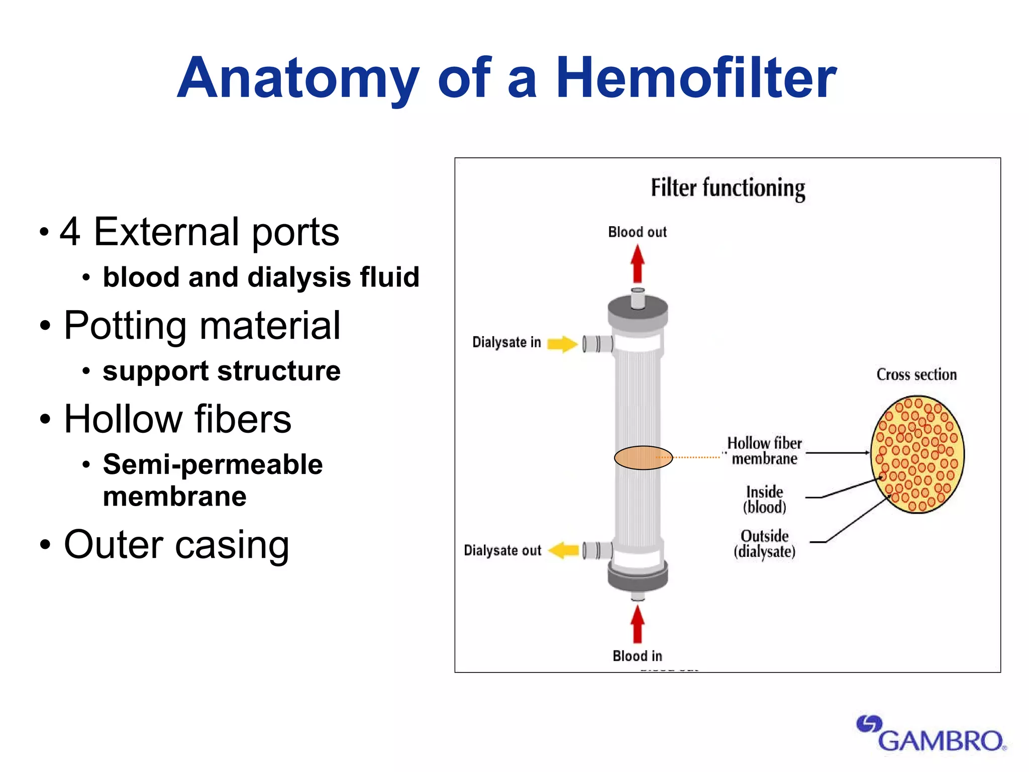 Anatomy of a Hemofilter 4 External ports  blood and dialysis fluid  Potting material  support structure Hollow fibers  Semi-permeable membrane Outer casing 