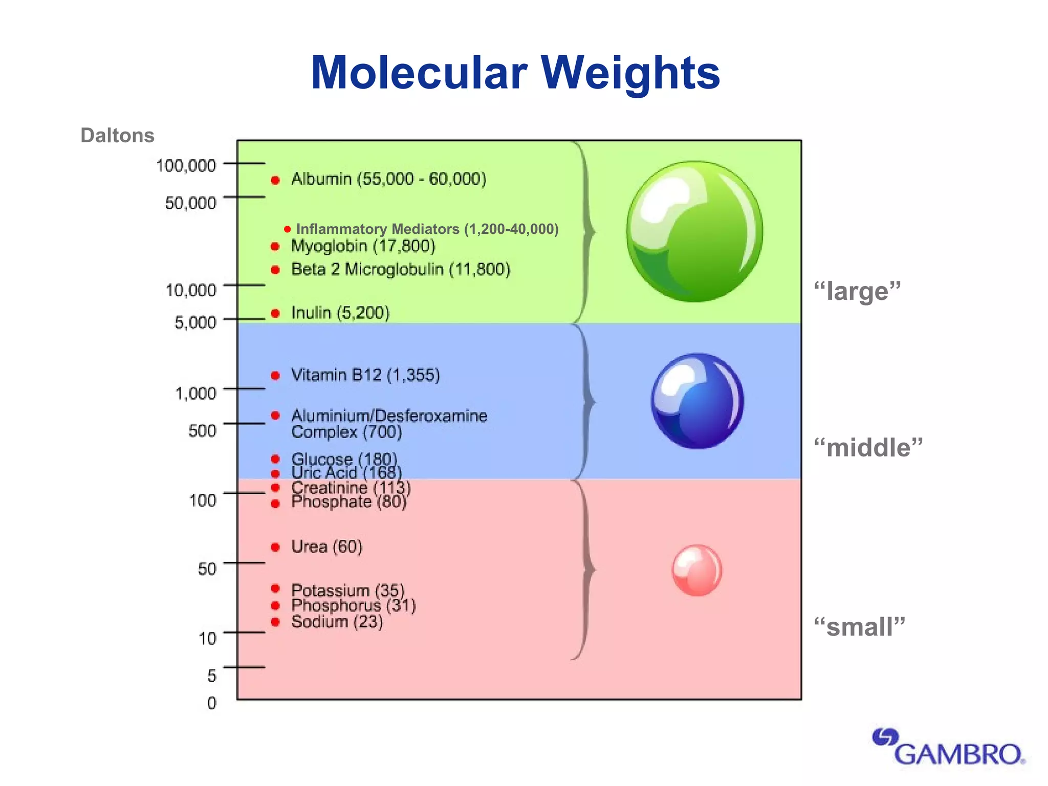 Molecular Weights Daltons •   Inflammatory Mediators (1,200-40,000) “ small” “ middle” “ large” 
