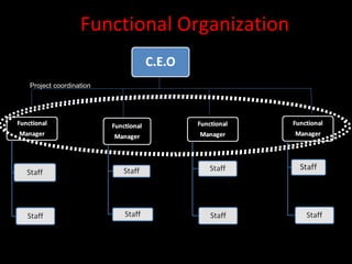 Functional Organization

Project coordination
 