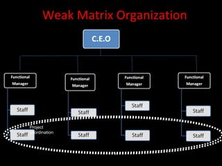 Weak Matrix Organization




Project
coordination
 