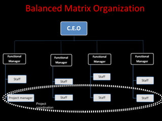 Balanced Matrix Organization




  Project
  coordination
 