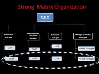 Strong Matrix Organization
 