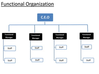 Functional Organization
Functional
Manager
Staff
Staff
Functional
Manager
Staff
Staff
Functional
Manager
Staff
Staff
Functional
Manager
Staff
Staff
C.E.O
 