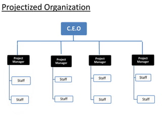 Projectized Organization
Project
Manager
Staff
Staff
Project
Manager
Staff
Staff
Project
Manager
Staff
Staff
Project
Manager
Staff
Staff
C.E.O
 